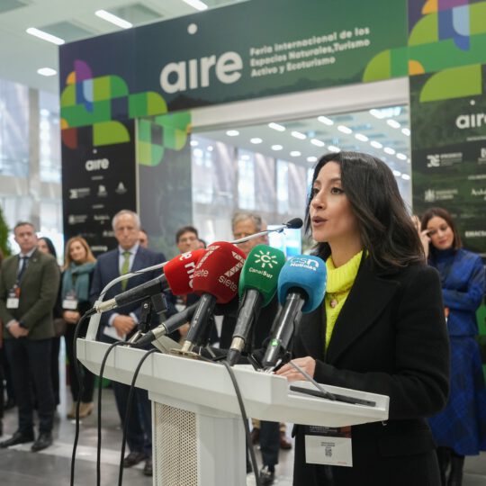 https://expoaire.es/wp-content/uploads/2024/12/Aire-2024DSC01173-min-540x540.jpg