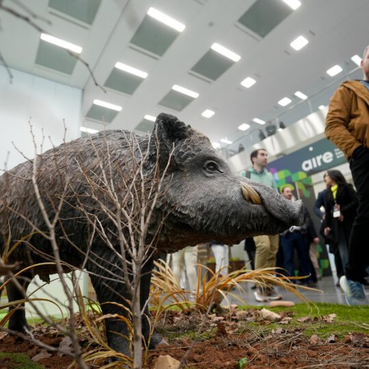https://expoaire.es/wp-content/uploads/2024/12/Aire-2024DSC01331-min-540x540.jpg