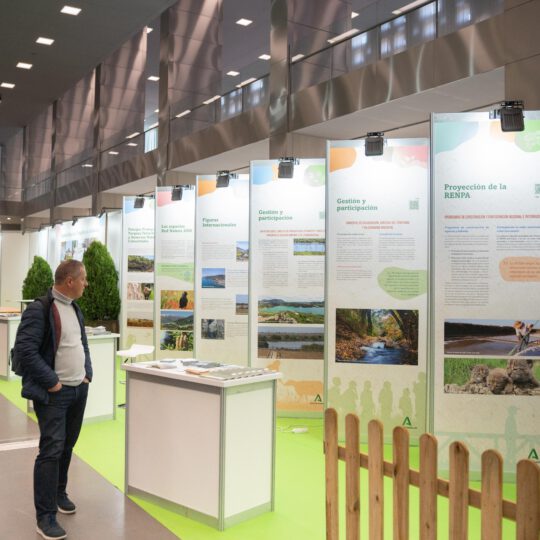 https://expoaire.es/wp-content/uploads/2024/12/Aire-2024DSC01866-min-540x540.jpg
