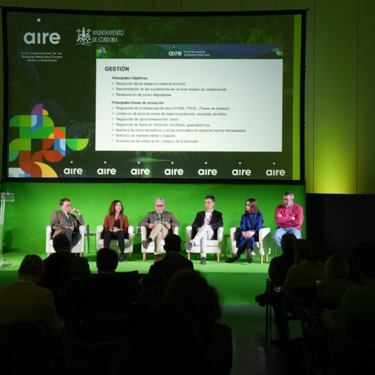 https://expoaire.es/wp-content/uploads/2024/12/Aire-2024DSC01882-min-540x540.jpg