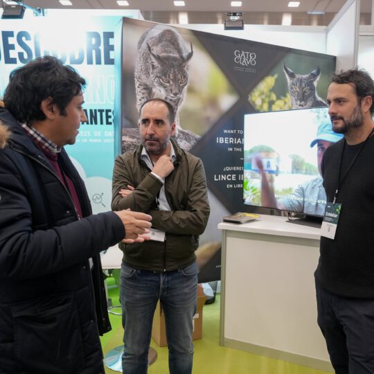 https://expoaire.es/wp-content/uploads/2024/12/Aire-2024DSC02042-min-540x540.jpg