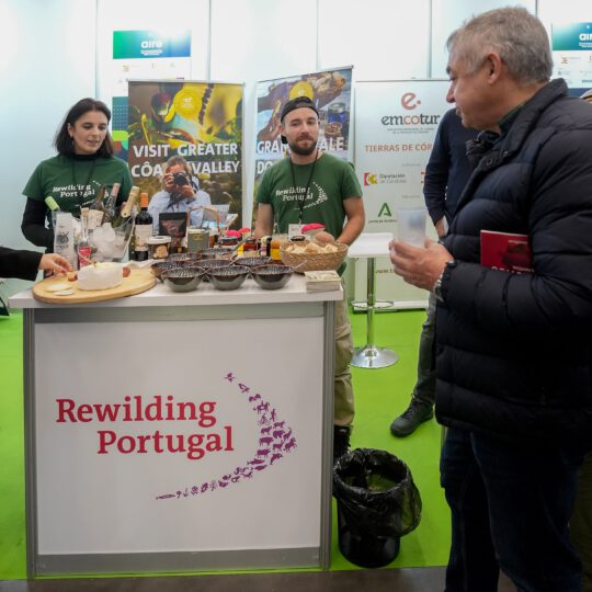 https://expoaire.es/wp-content/uploads/2024/12/Aire-2024DSC02132-min-540x540.jpg