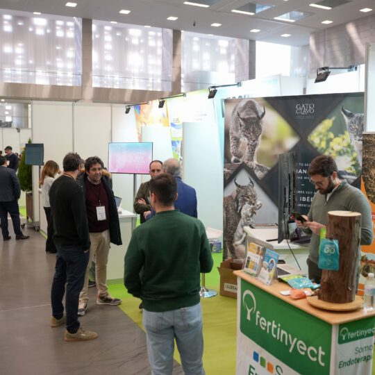 https://expoaire.es/wp-content/uploads/2024/12/Aire-2024DSC02225-min-540x540.jpg