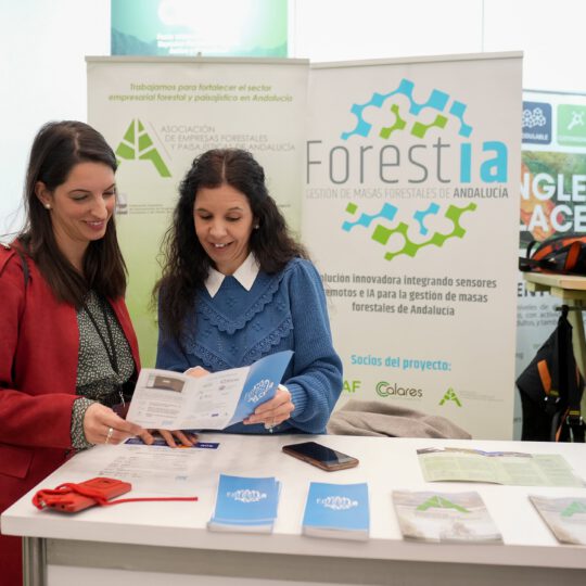 https://expoaire.es/wp-content/uploads/2024/12/Aire-2024DSC02403-min-540x540.jpg
