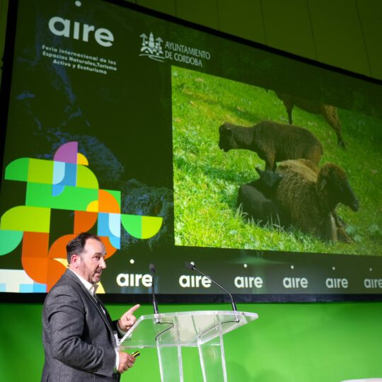 https://expoaire.es/wp-content/uploads/2024/12/Aire-2024DSC03194-min-540x540.jpg