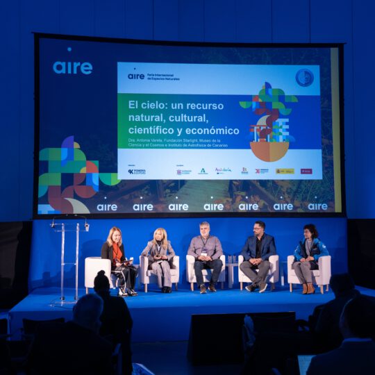 https://expoaire.es/wp-content/uploads/2024/12/Aire-2024_DSC0453-min-540x540.jpg