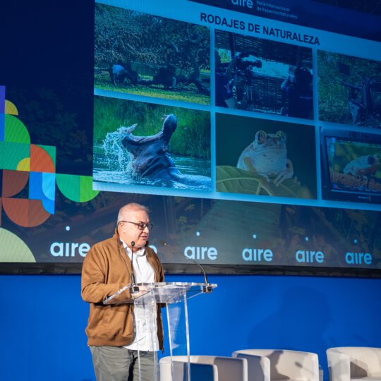 https://expoaire.es/wp-content/uploads/2024/12/Aire-2024_DSC0837-min-540x540.jpg