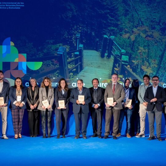 https://expoaire.es/wp-content/uploads/2024/12/Aire-2024_DSC0989-min-540x540.jpg